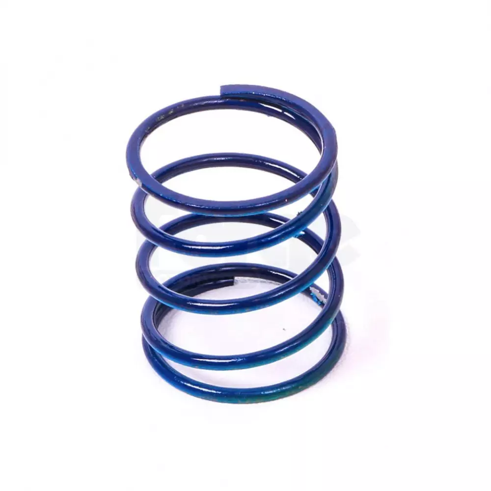 Dump Valve Spring (Single)