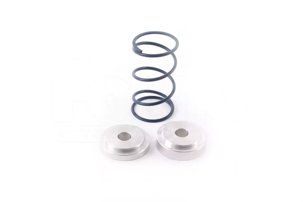 FMDVRAYV2 Individual Springs