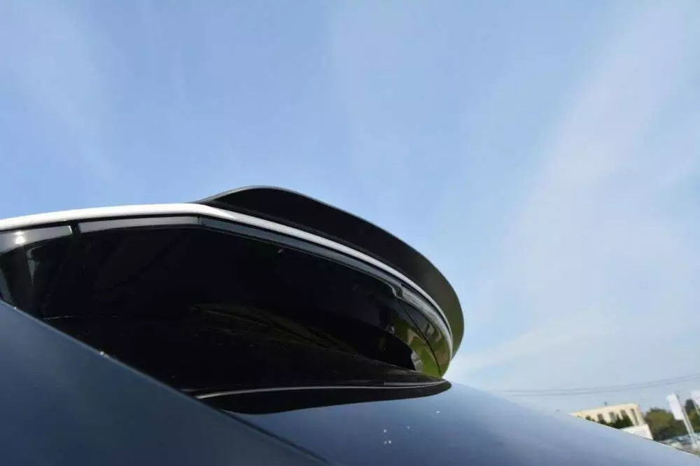 Spoiler Cap Lexus Rx Mk4 - Image 2